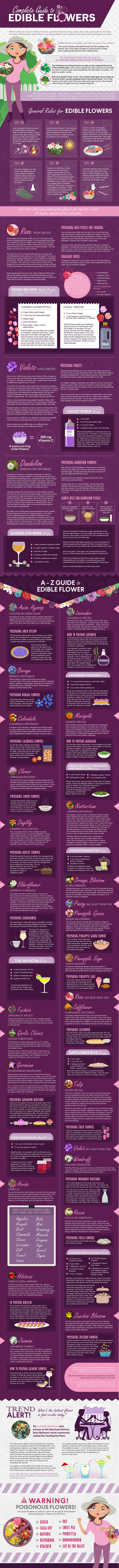 Edible Flowers_Infographic_FINAL 06082016_compresses