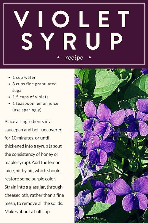 violet syrup recipe