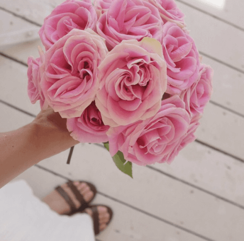 The Best Flowers For Different Occasions