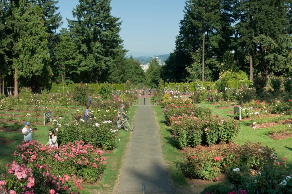 International Rose Test Garden, USA