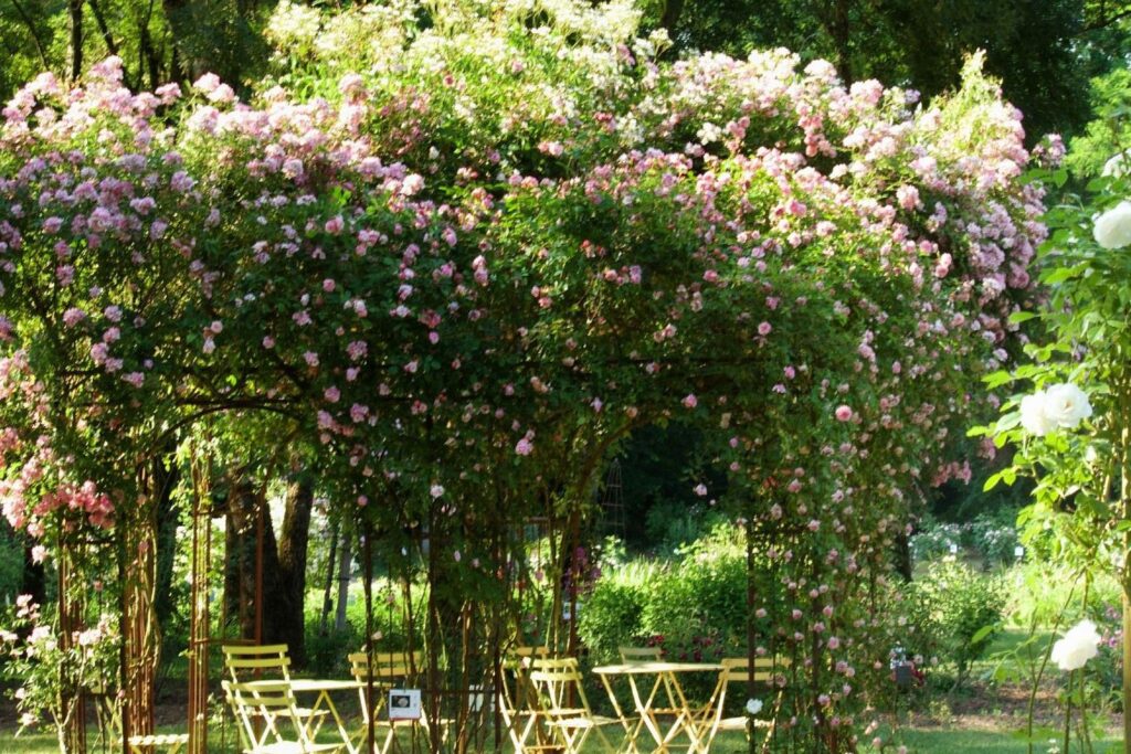 Les Chemins de la Rose, France