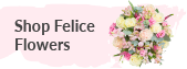Felice flowers