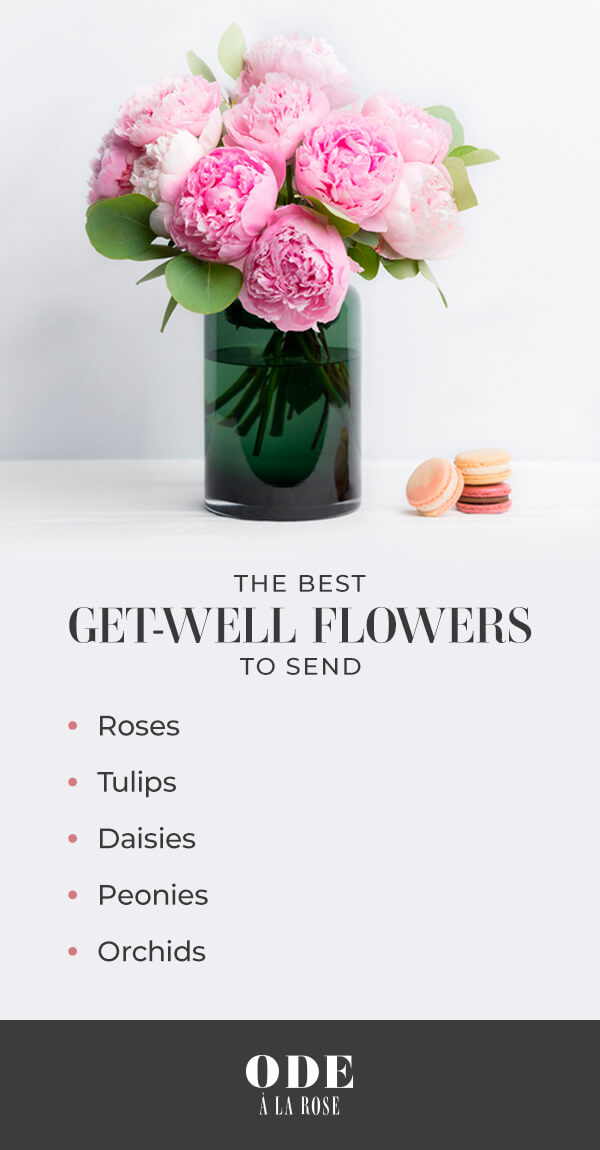 should-you-send-flowers-after-surgery-ode-la-rose