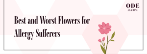 best and worst flowers for allergies