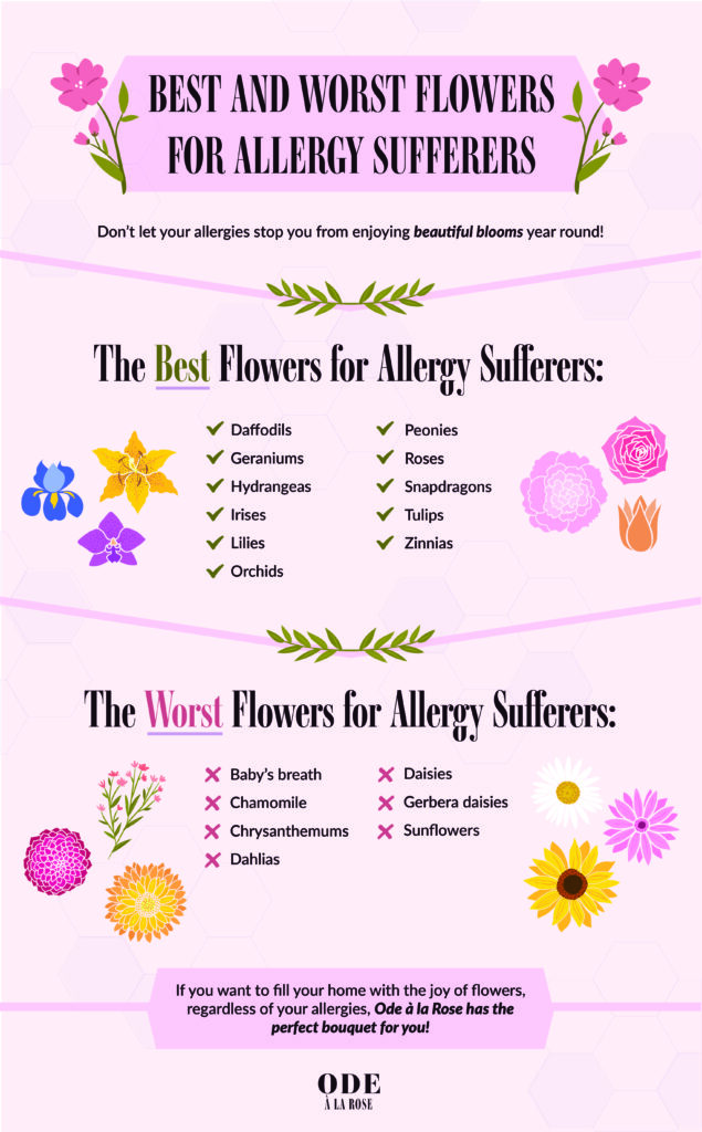 Best & Worst Flowers for Allergy Sufferers