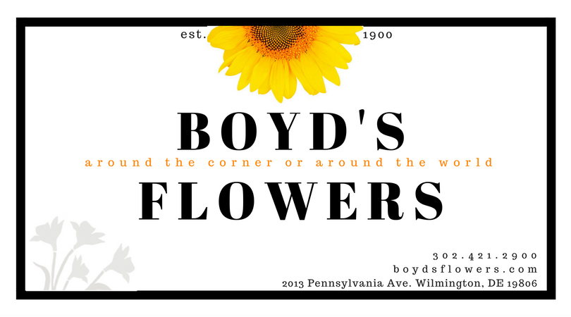 Same Day Delivery Gifts Delivery Wilmington DE - Boyd's Flowers