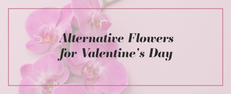 alternatives to roses