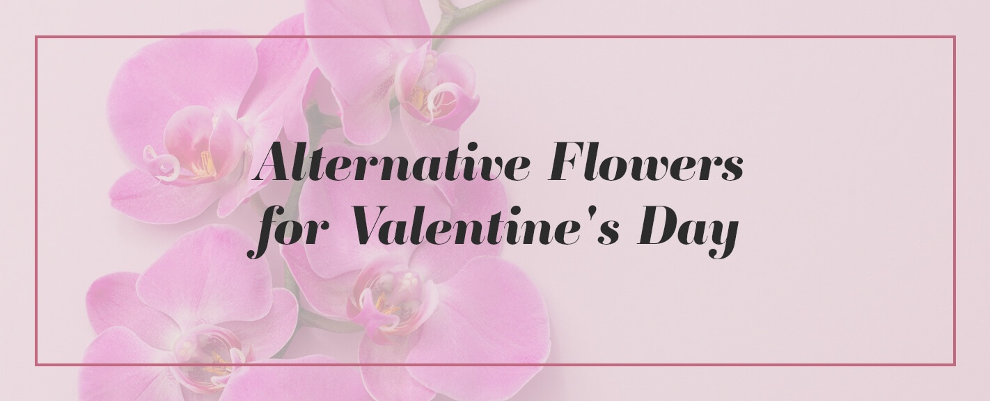 Valentine's Day Gift Ideas For Your Friends - Beauty With Lily