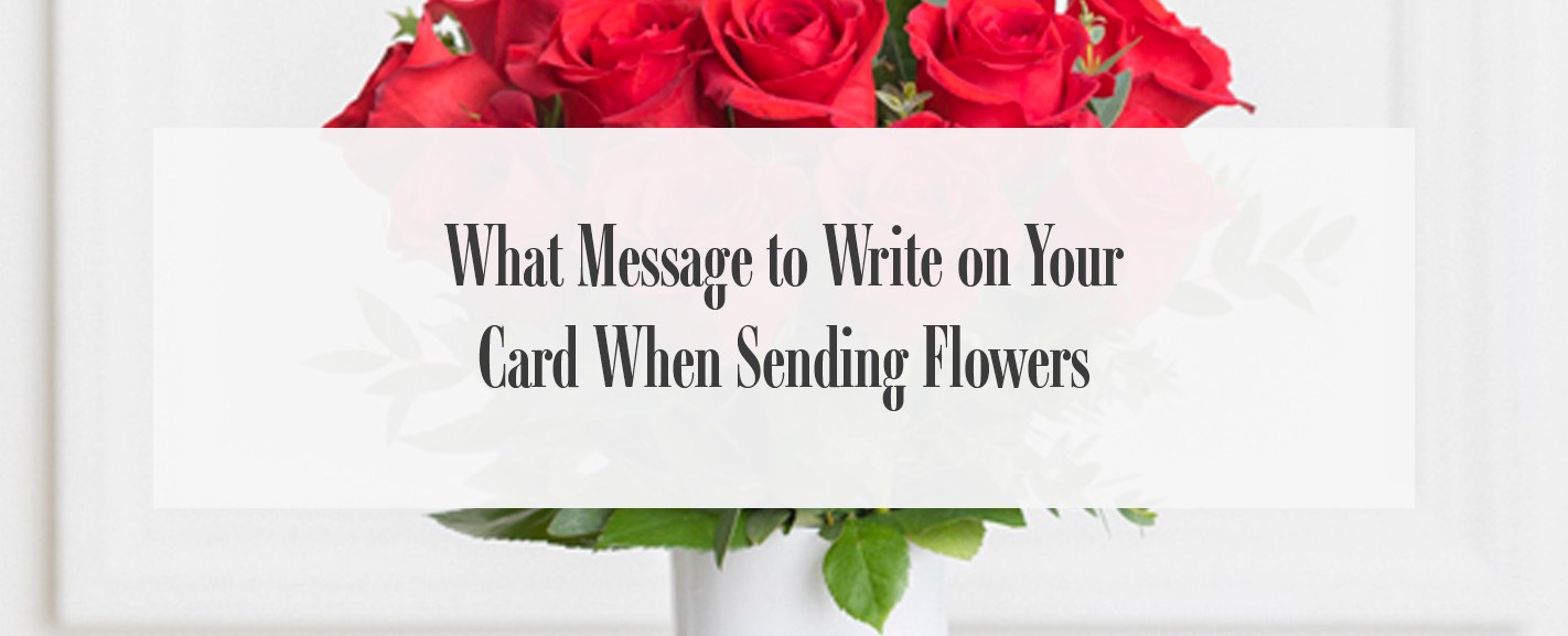 Messages To Write When Sending Flowers Ode La Rose