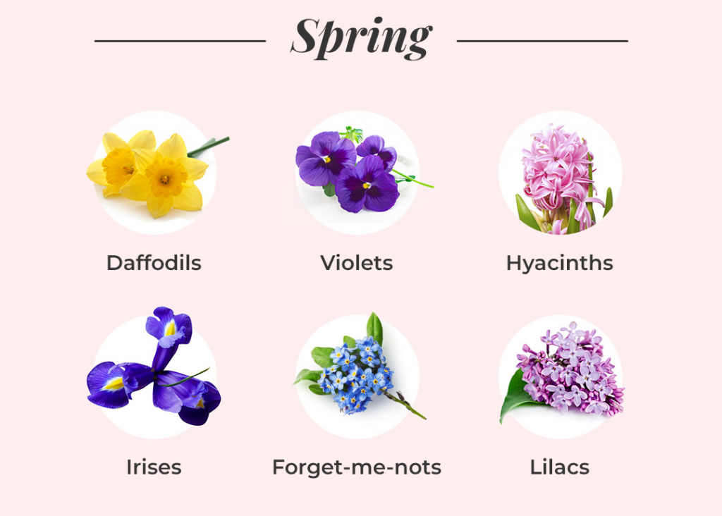 spring season flowers