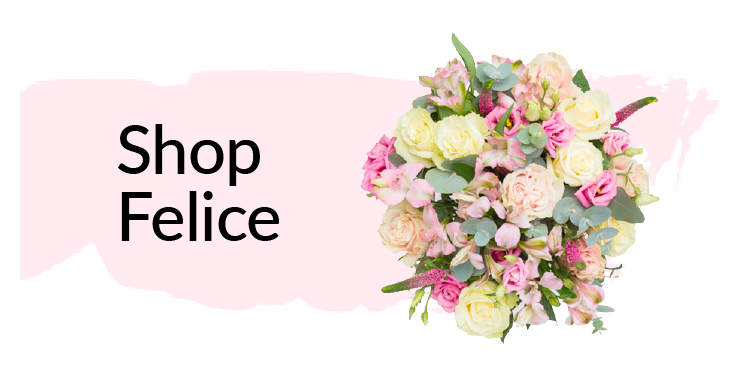 Shop felice