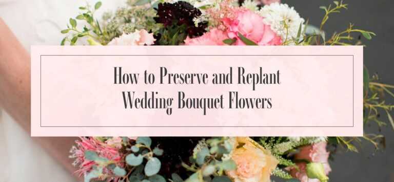 How to Preserve and Replant Wedding Bouquet Flowers