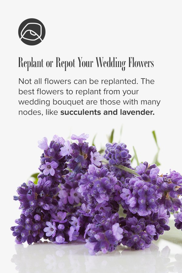 How to Preserve and Replant Wedding Bouquet Flowers