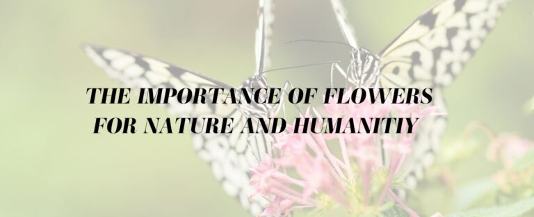 Importance of Flowers