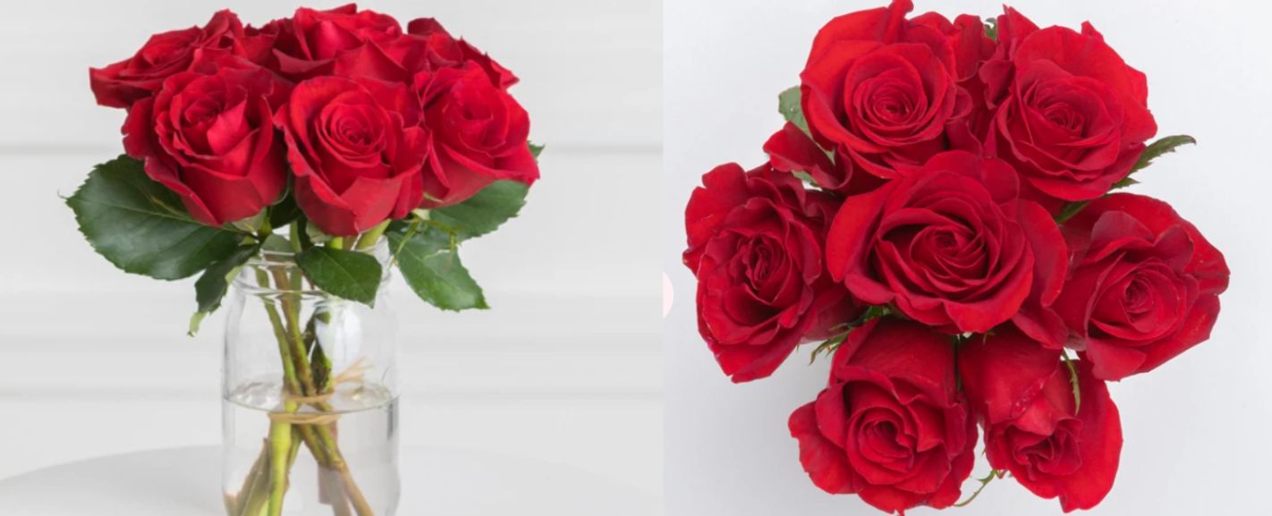 The 15 Best Types of Flowers for a First Date