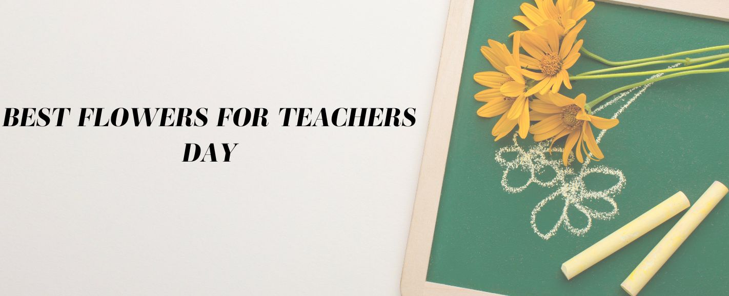 Best Flowers for Teacher’s Day