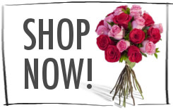 shop bridal flowers