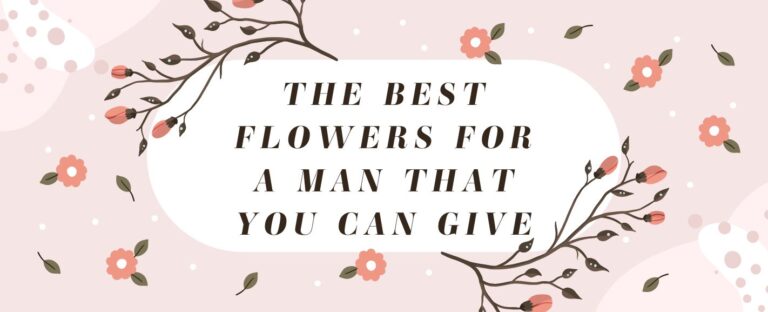 The Best Flowers For a Man That You Can Give