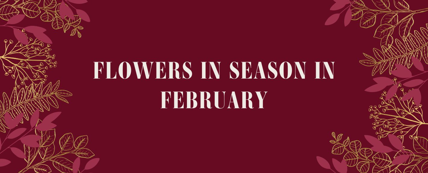 Flowers in Season in February