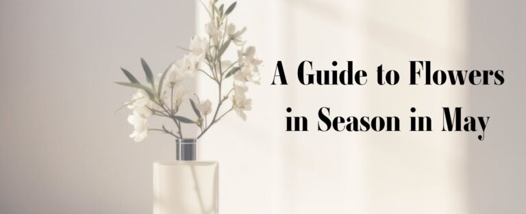 A Guide to Flowers in Season in May