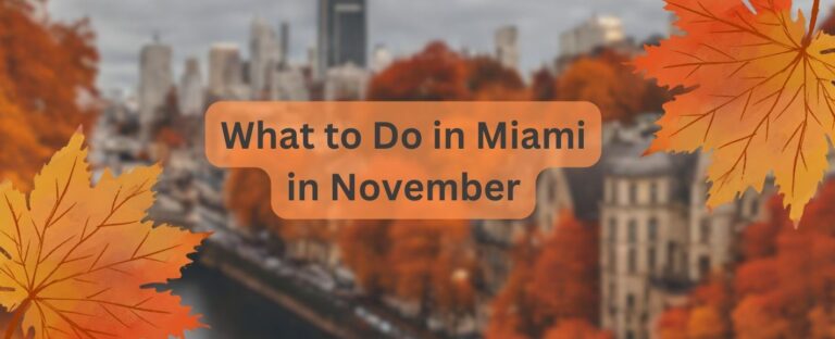 What to Do in Miami in November