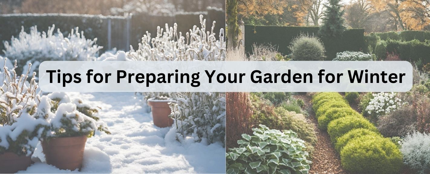 Tips for Preparing Your Garden for Winter
