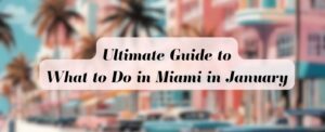 What to Do in Miami in January