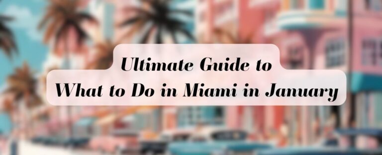 What to Do in Miami in January