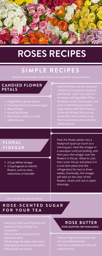 Comprehensive Edible Flowers List Roses