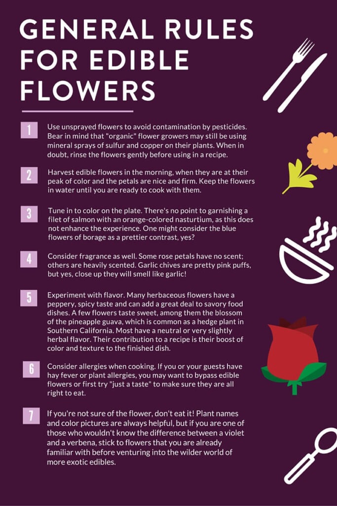 Complete Guide to Edible Flowers List rules for edible flowers