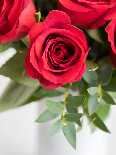 12 Red Rose Bouquet - Order Flowers Online