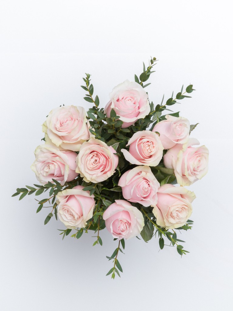 12 Pink Rose Bouquet Delivery, One Dozen Pink Roses
