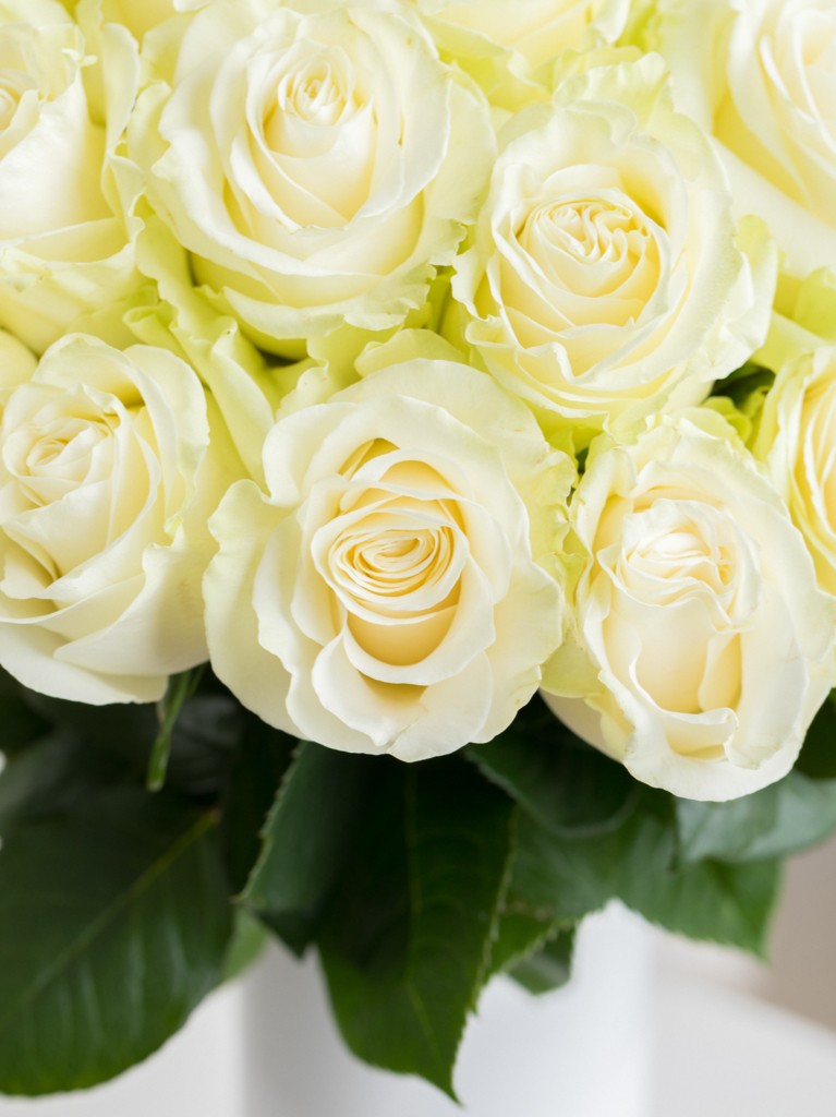 Yellow Roses with White Flower Bouquet